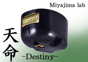 Miyajima Destiny Miyajima Destiny